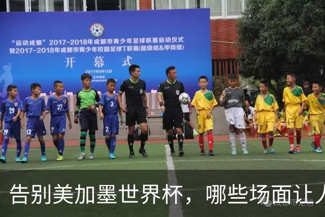 告别美加墨世界杯，哪些场面让人“意难平”？
