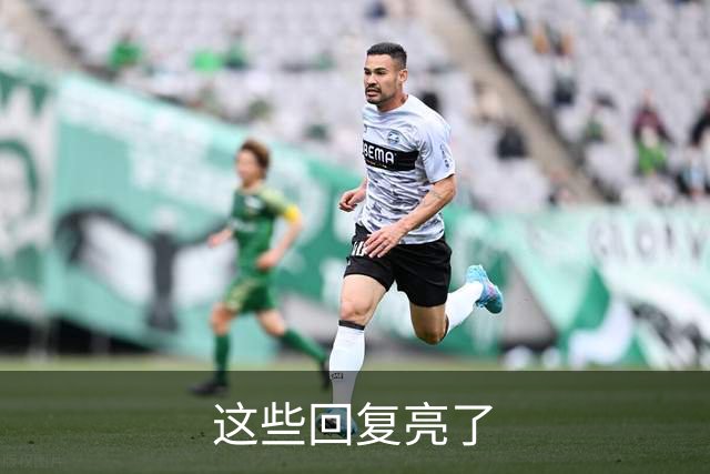 这些回复亮了