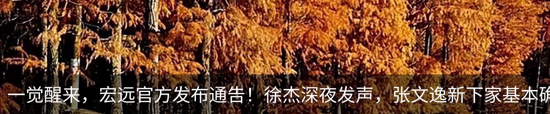 新闻动态