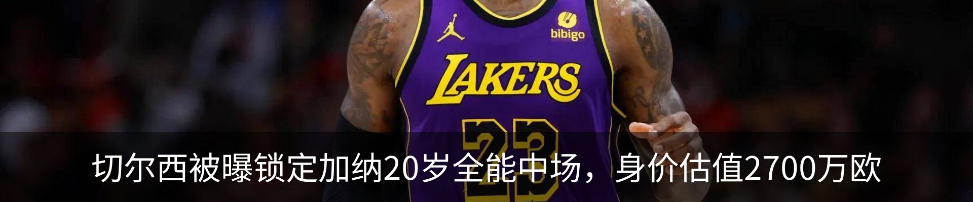 新闻动态