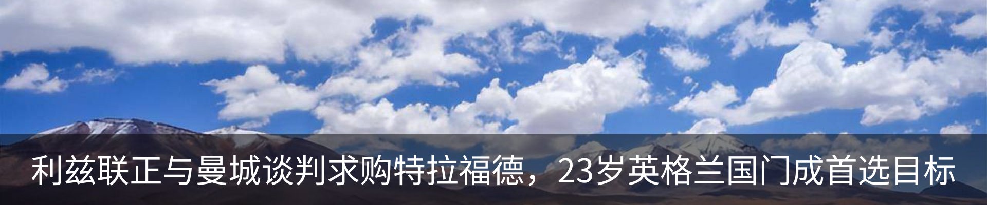新闻动态