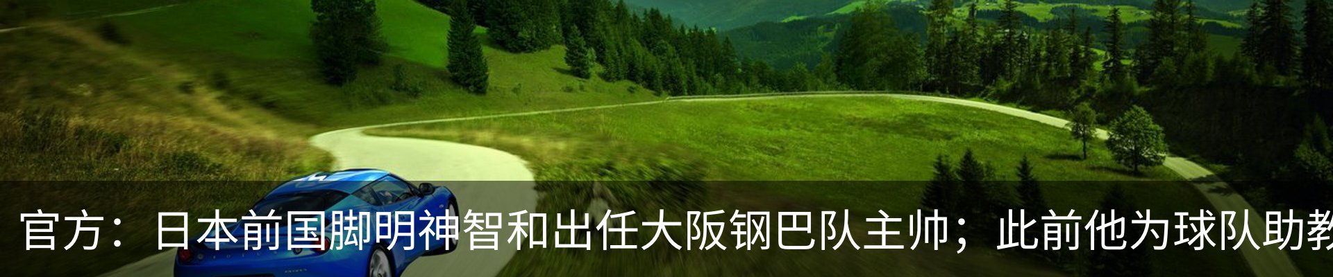 新闻动态