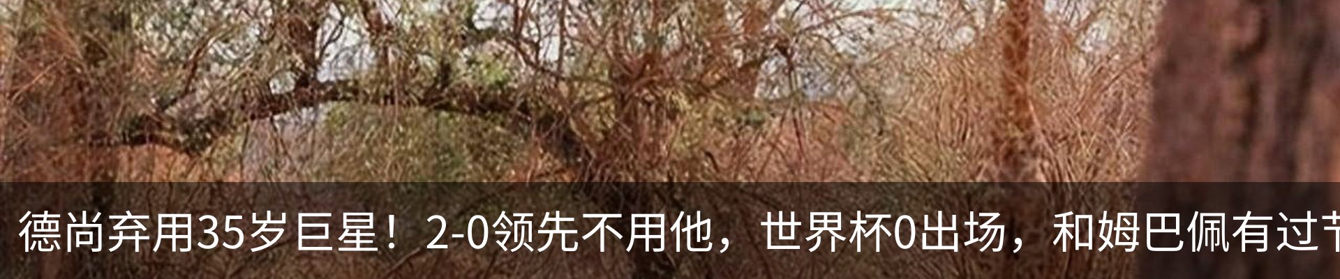 新闻动态