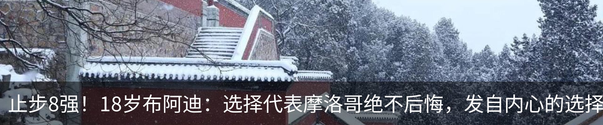 新闻动态