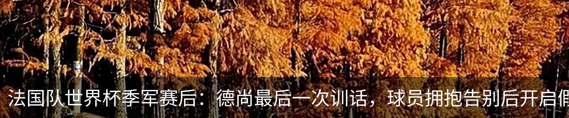 新闻动态