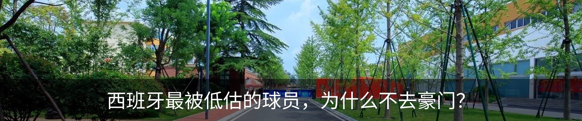 新闻动态