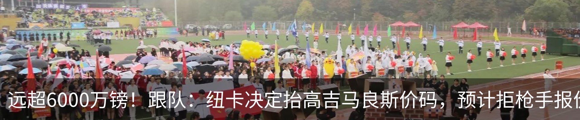 新闻动态