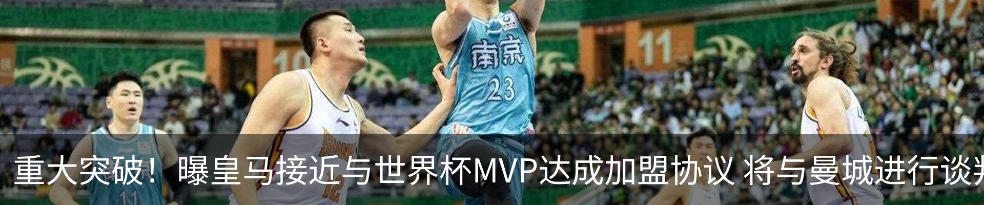 新闻动态