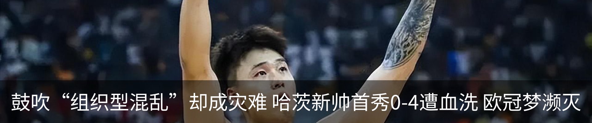 新闻动态