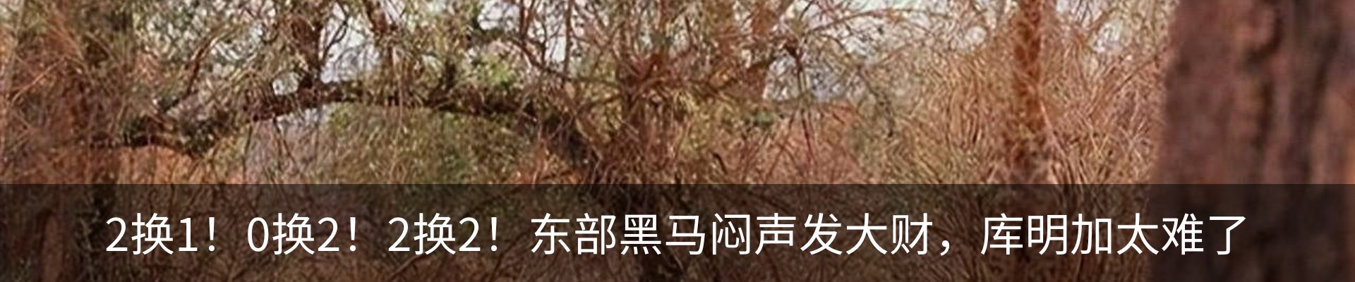 新闻动态