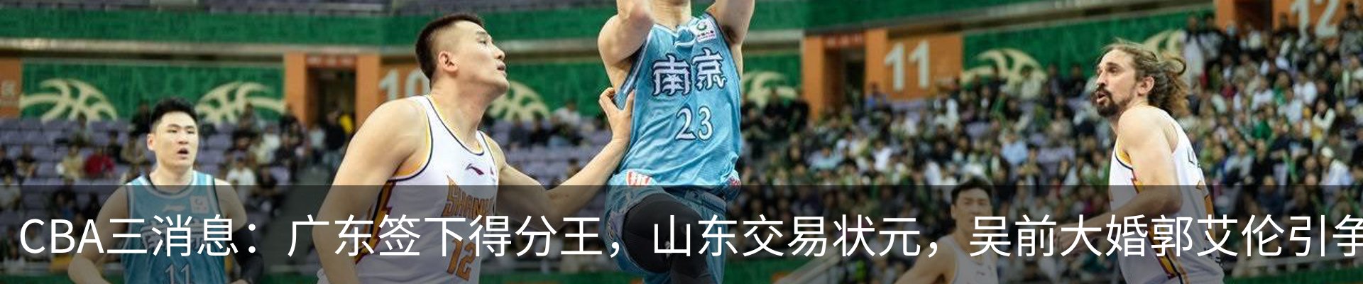 新闻动态