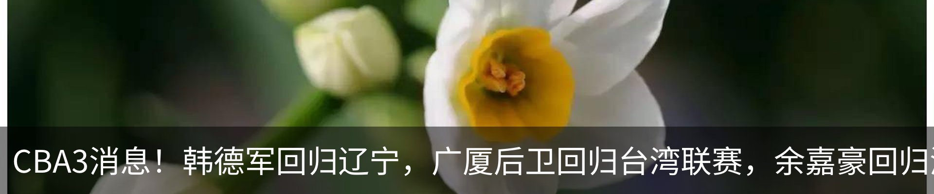 新闻动态
